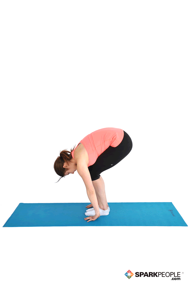 Standing Modified Forward Bend Exercise