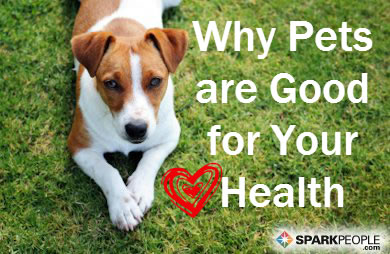 The Health Benefits of Pet Ownership